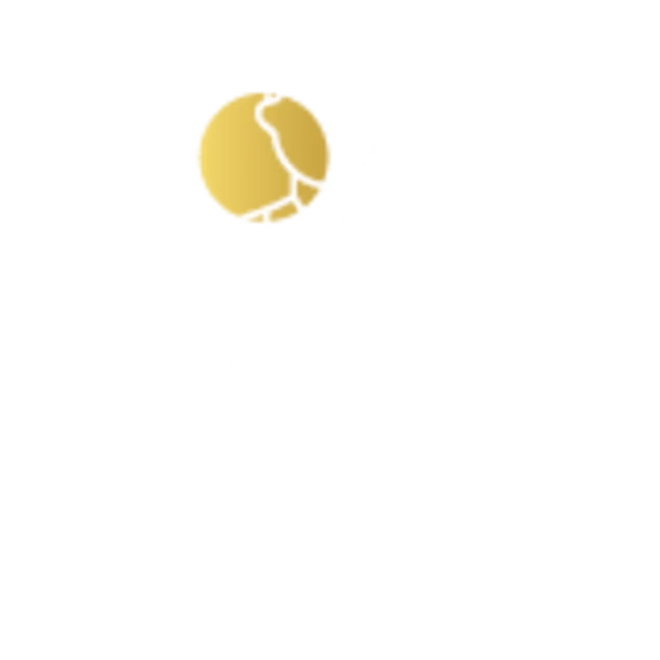 ייעוץ רופא מומחה
